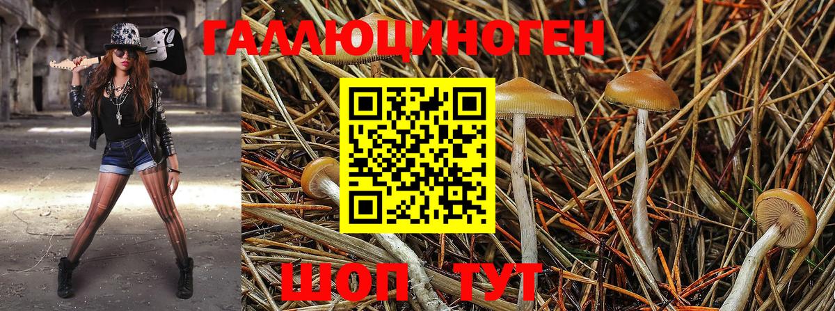 Псилоцибиновые грибы MAGIC MUSHROOMS  Вход с VPN  Белореченск 